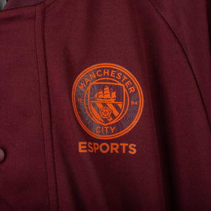 Giacca Esports Manchester City Puma 2023/2024 by PUMA - Home (9)
