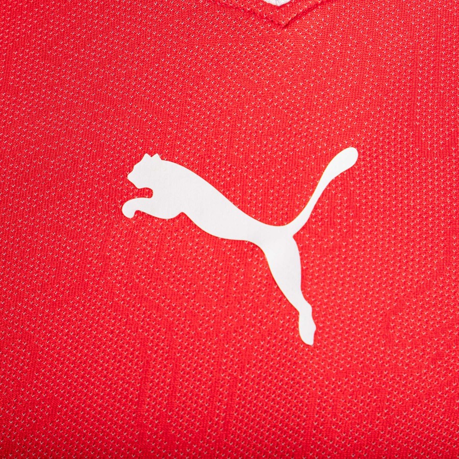 maglia home svizzera 2017/2018 freuler 8  by PUMA - Home (4)