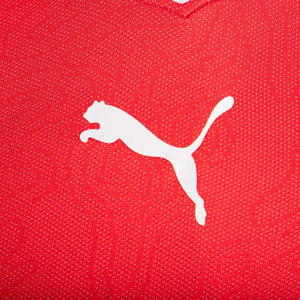 maglia home svizzera 2017/2018 freuler 8  by PUMA - Home (4)