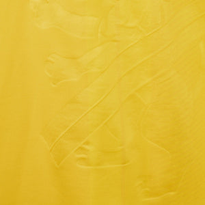 maglia home frosinone zeus beghetto 33 2018/2019 by ZEUS - Home (5)